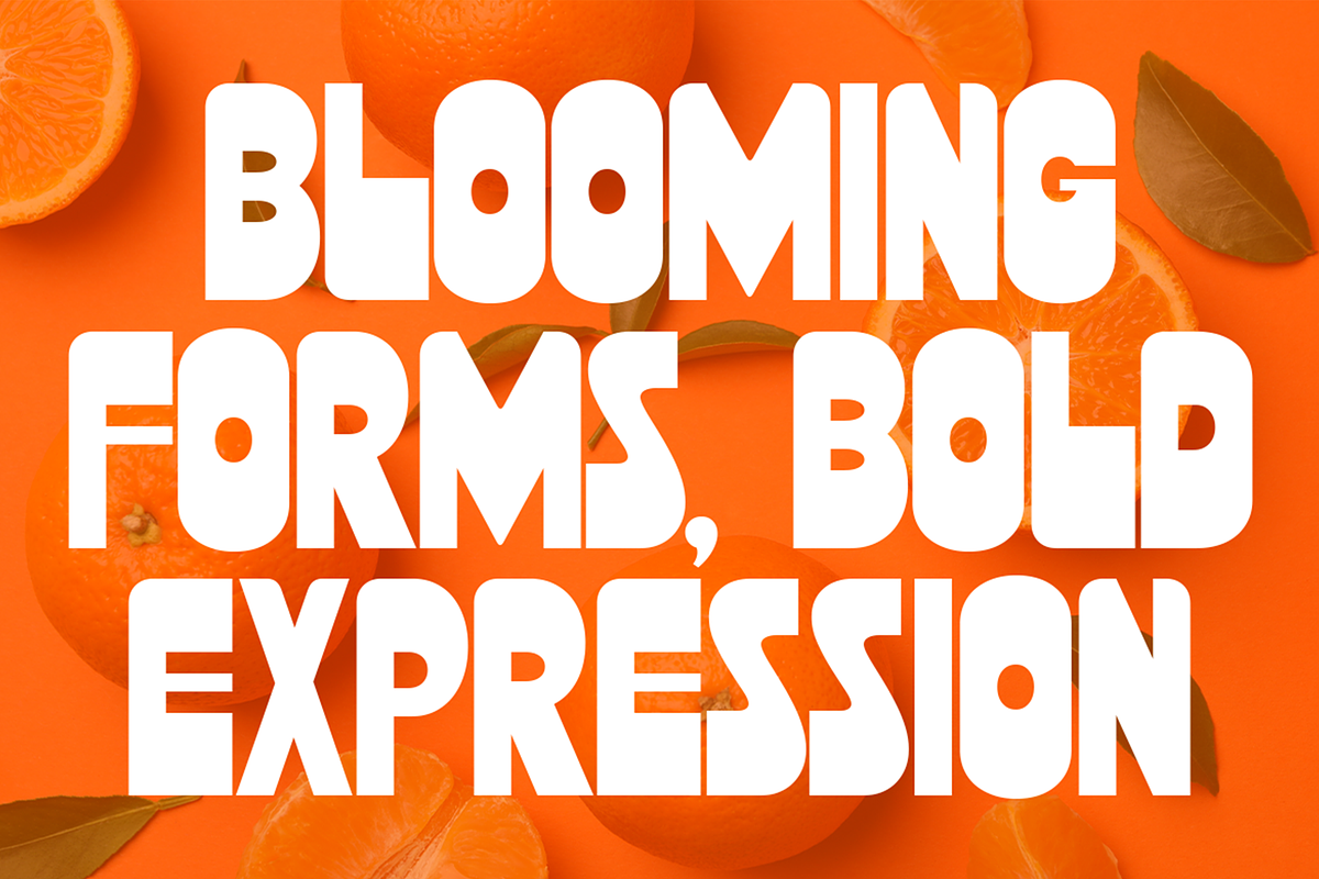 Halibus - Bold Logo Display Font, a Sans Serif Font by Pekotype (Photo 2 of 15)