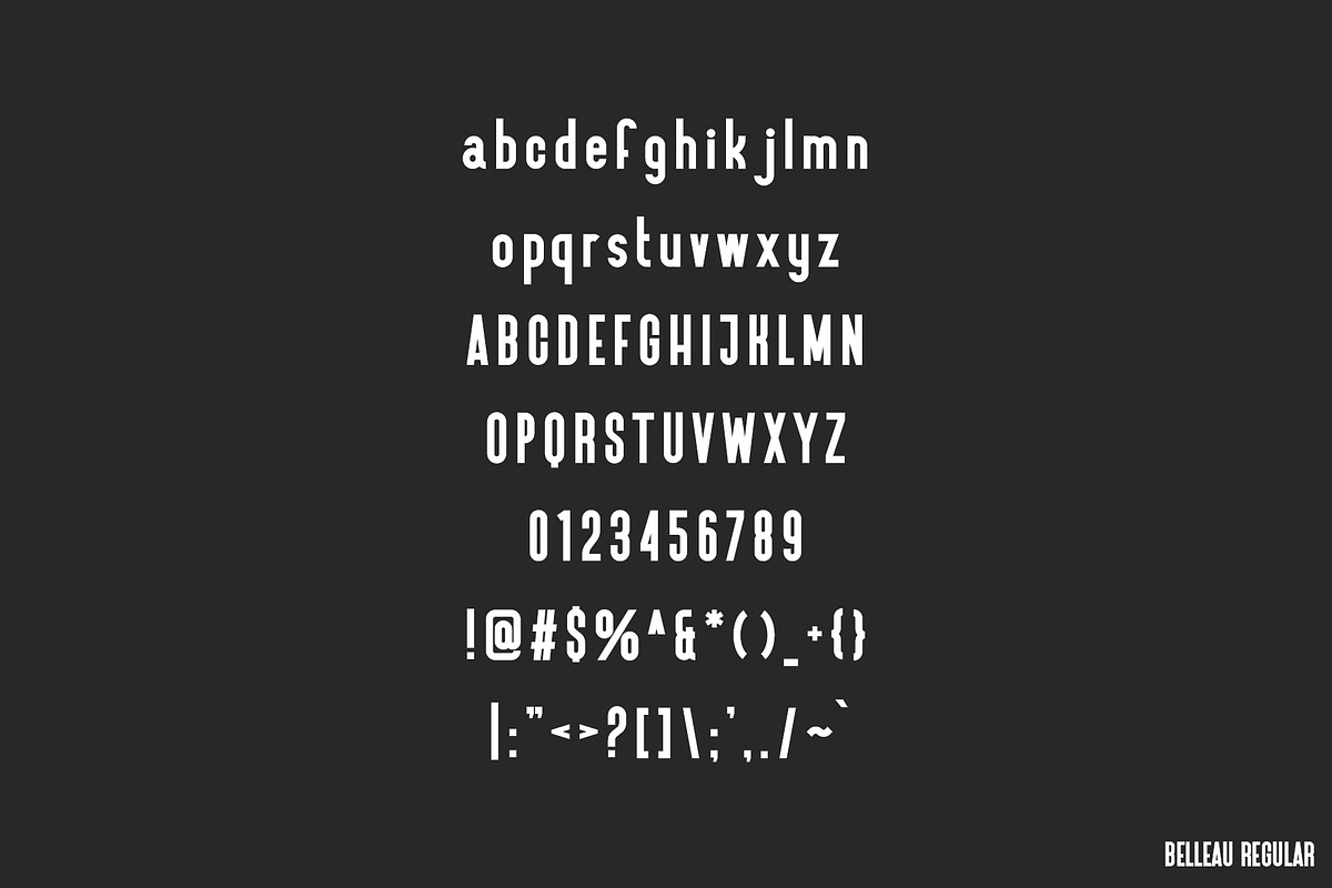 Belleau | Sans Serif Font Family preview 7