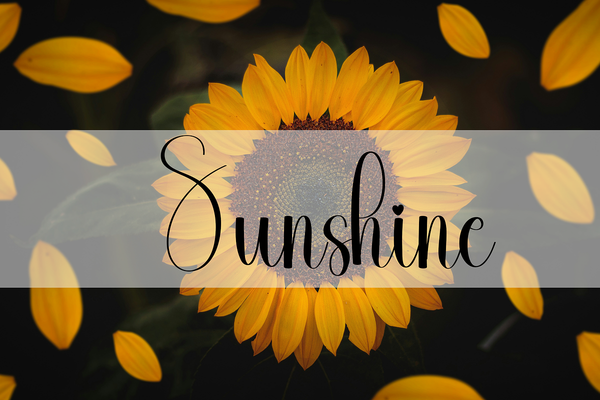 Background Signature, a Handwritten Font by InermediaSTUDIO (Photo 4 of 8)