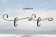Whiteside | Script Font, a Handwritten Font by Scratchones (Thumbnail 8 of 9)
