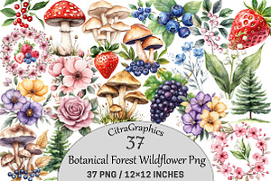 Botanical Forest Wildflower, an Illustration by CitraGraphics