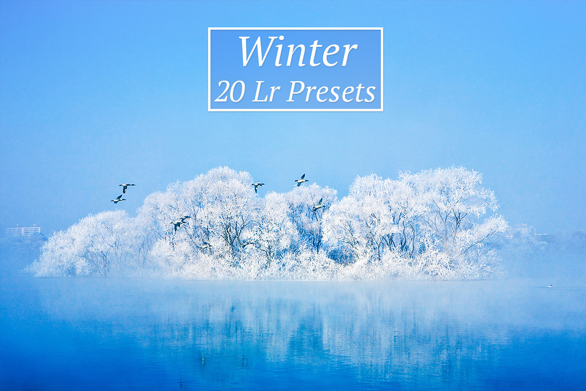 4 Seasons Lr Presets preview 6