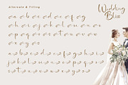 Wedding Bliss - Romantic Handwritten, a Handwritten Font by Letterara (Thumbnail 10 of 12)