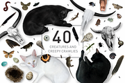 There Be Witches Scene Creator, a Nature Photo by Mockup Scene (Thumbnail 5 of 11)