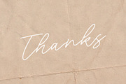 Blackswan - Monoline Signature Font, a Script Font by Letterative Studio (Thumbnail 7 of 7)