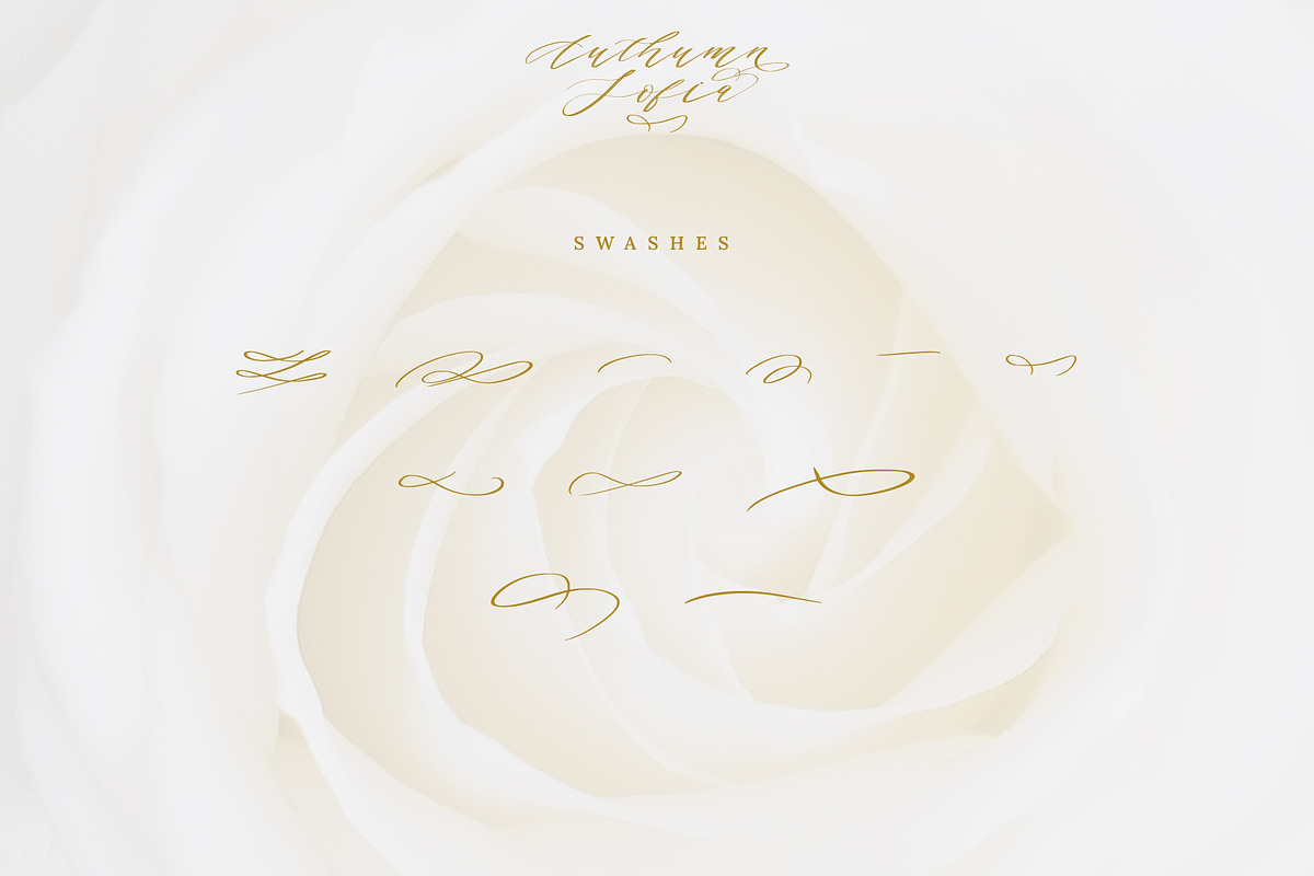 Authumn Sofia | Calligraphy Font, a Script Font by Analogous (Photo 14 of 16)