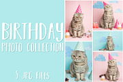 Cat's birthday greetings, an Animal Photo by AnStore (Thumbnail 1 of 2)