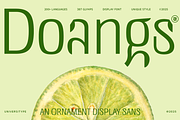 UT Doangs - An Ornament Display Font, a Sans Serif Font by Universitype (Thumbnail 1 of 15)