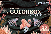 Colorbox studio for Procreate, a Brush Add-On by Eliza Moreno Illustration (Thumbnail 1 of 5)