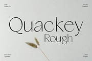 Quackey Rough, a Sans Serif Font by Craft Supply Co. (Thumbnail 1 of 8)