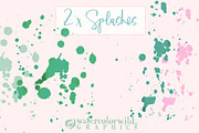 Succulents-single species package, a Work Illustration by watercolorwild.graphics (Thumbnail 8 of 8)