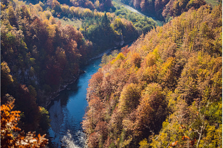 Mountain river Tara and forest in, a Nature Photo by Elizaveta Galitskaya