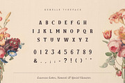 Les Liaisons Dangereuses Font Duo, a Slab Serif Font by Aurelie Maron (Thumbnail 5 of 9)