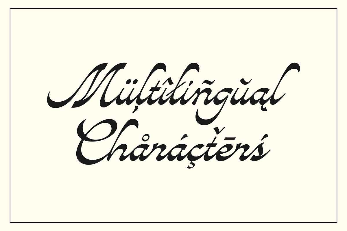 Avandgarde Modern Script, a Font by Swandtype (Photo 9 of 10)