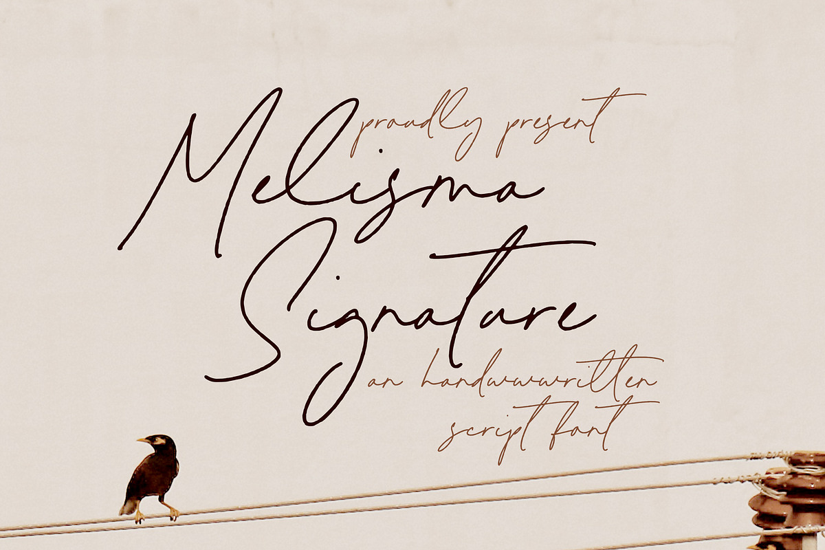Melisma Signature Font, a Script Font by Timurtype (Photo 1 of 7)