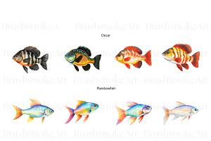 Tropical Fish Clipart, Betta, Guppy