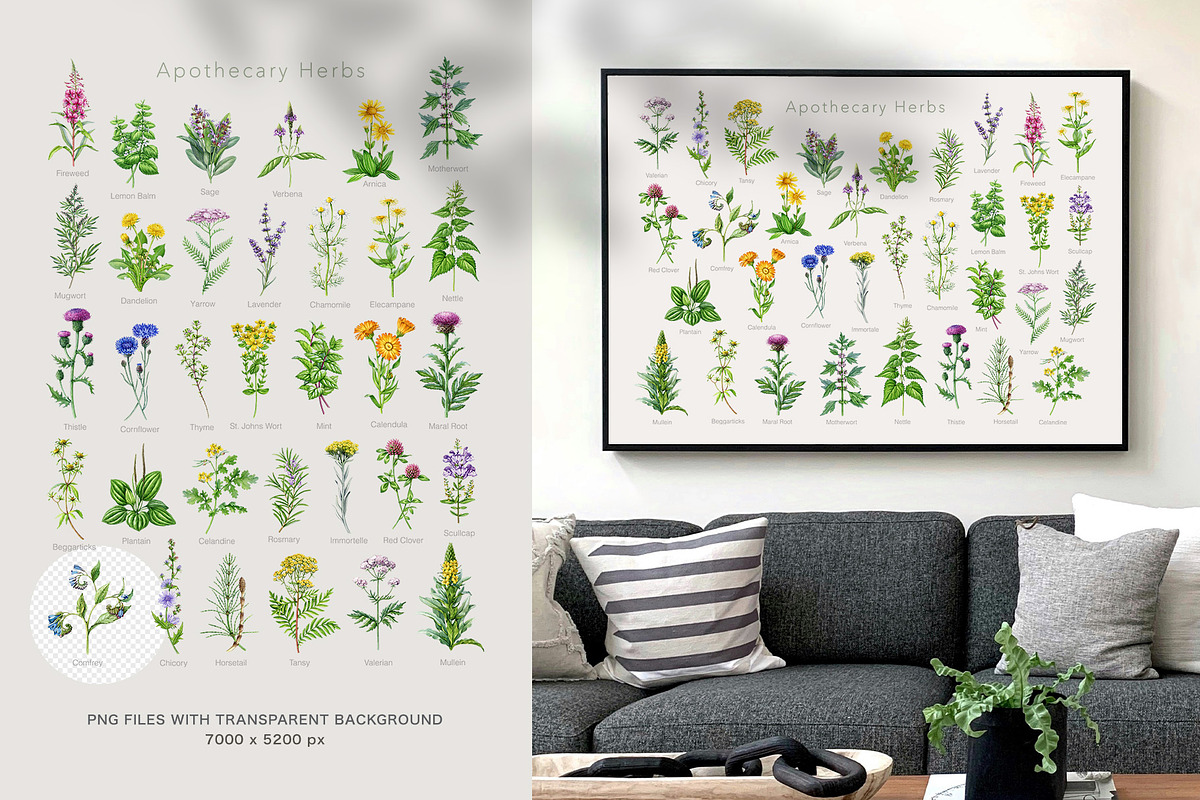 Herbal Apothecary Brand Kit, a Healthcare Illustration by AnitaPol (Photo 11 of 18)