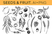 Autumn Leaves & Flowers. Fall Bundle, an Object Graphic by Yevheniia (Thumbnail 9 of 11)