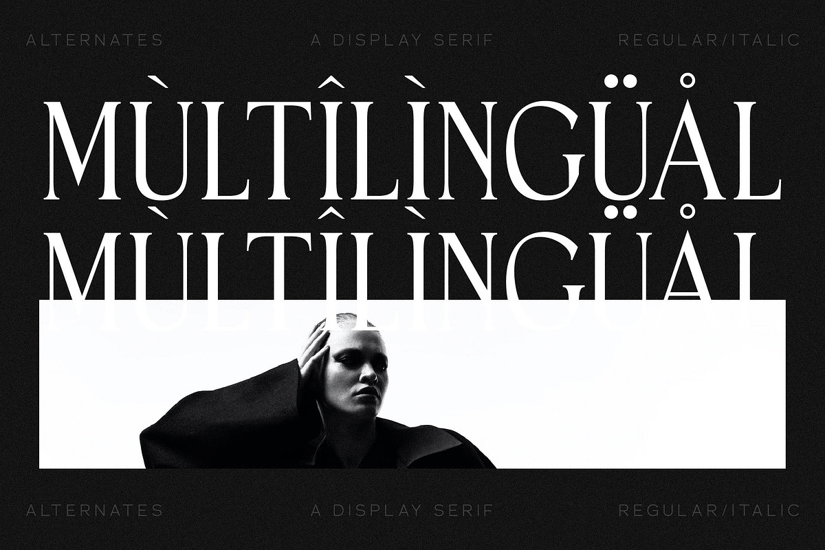 Horge A Display Serif Font, a Serif Font by Storytype Studio (Photo 13 of 16)