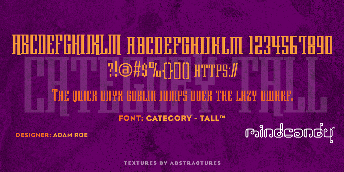 Category™, a Serif Font by MINDCANDY (Photo 2 of 2)