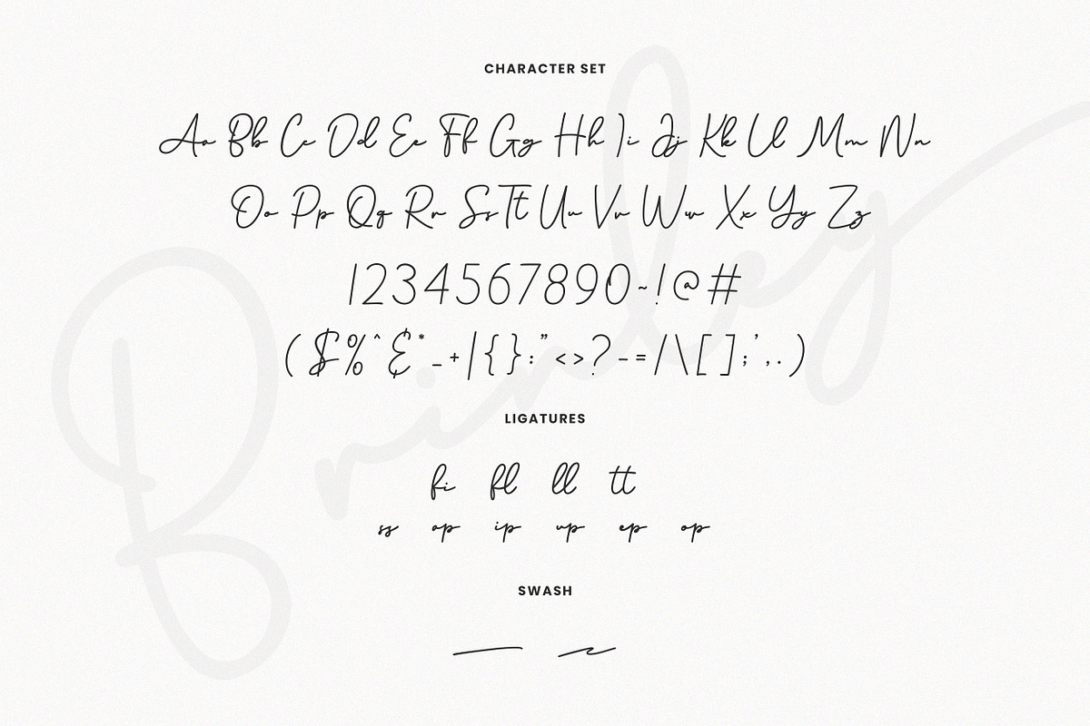 Brinley - Modern Handwritten Font, a Script Font by Flawless And Co (Photo 8 of 10)