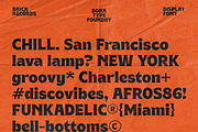 Brick Records - Retro Serif, a Serif Font by Dora Typefoundry (Thumbnail 7 of 14)