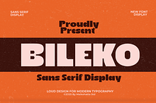 Bileko–Bold Modern SansSerif Display