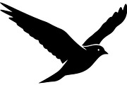 Forest Sky Birds Illustration Vector, an Animal Illustration by Designer_Momina (Thumbnail 18 of 21)
