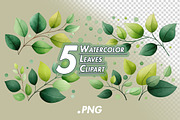 Watercolor Leaves Clipart, a Decorative Illustration by BazziBa♥ (Thumbnail 1 of 6)