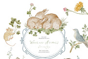 Bramblewood Tales Woodland Clipart, a Decorative Illustration by Muse Artist (Thumbnail 4 of 29)