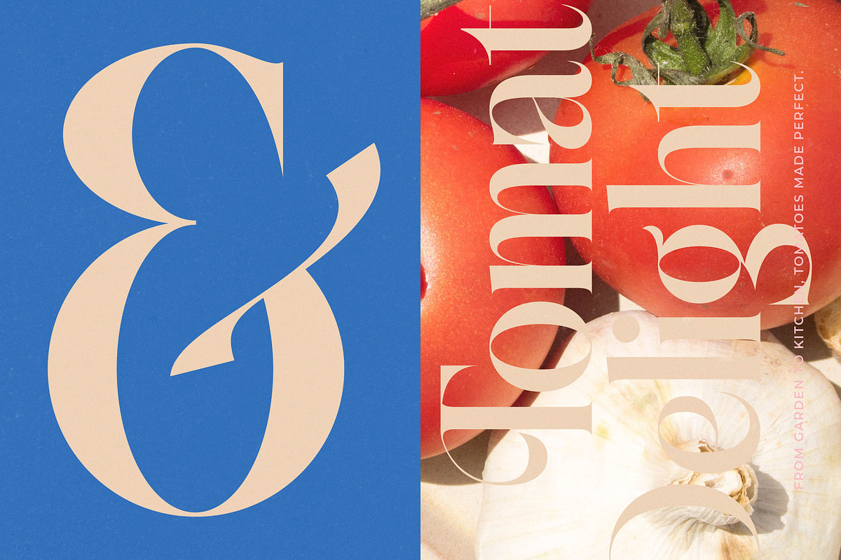 Galactic Knights Modern Serif, a Serif Font by timelesstype.co (Photo 10 of 15)