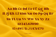 Venary - Elegant Fashion Serif Font, a Serif Font by Font Liner (Thumbnail 9 of 10)