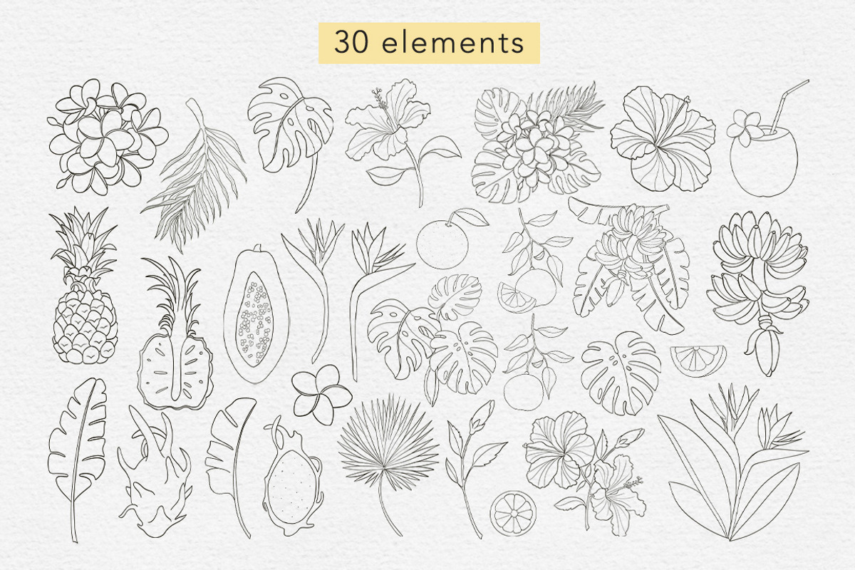 Tropical Garden 30 Procreate Stamps, a Brushes & More by Mari_Caliart (Photo 3 of 7)