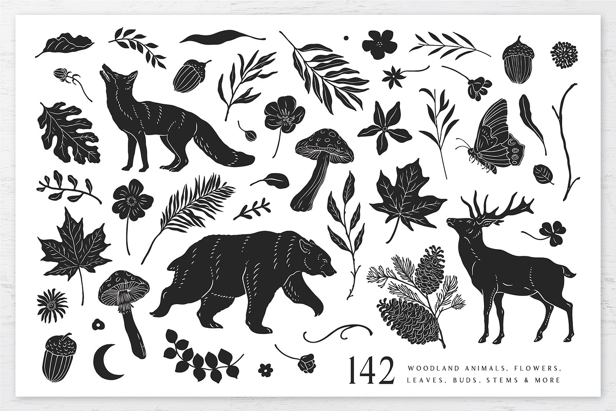 Woodland Shadows Vector Collection, a Decorative Illustration by rouxsupplyco (Photo 10 of 15)