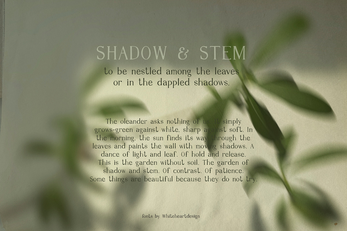 Imperfect Organic Serif Font, a Serif Font by whiteheartdesign (Photo 9 of 12)