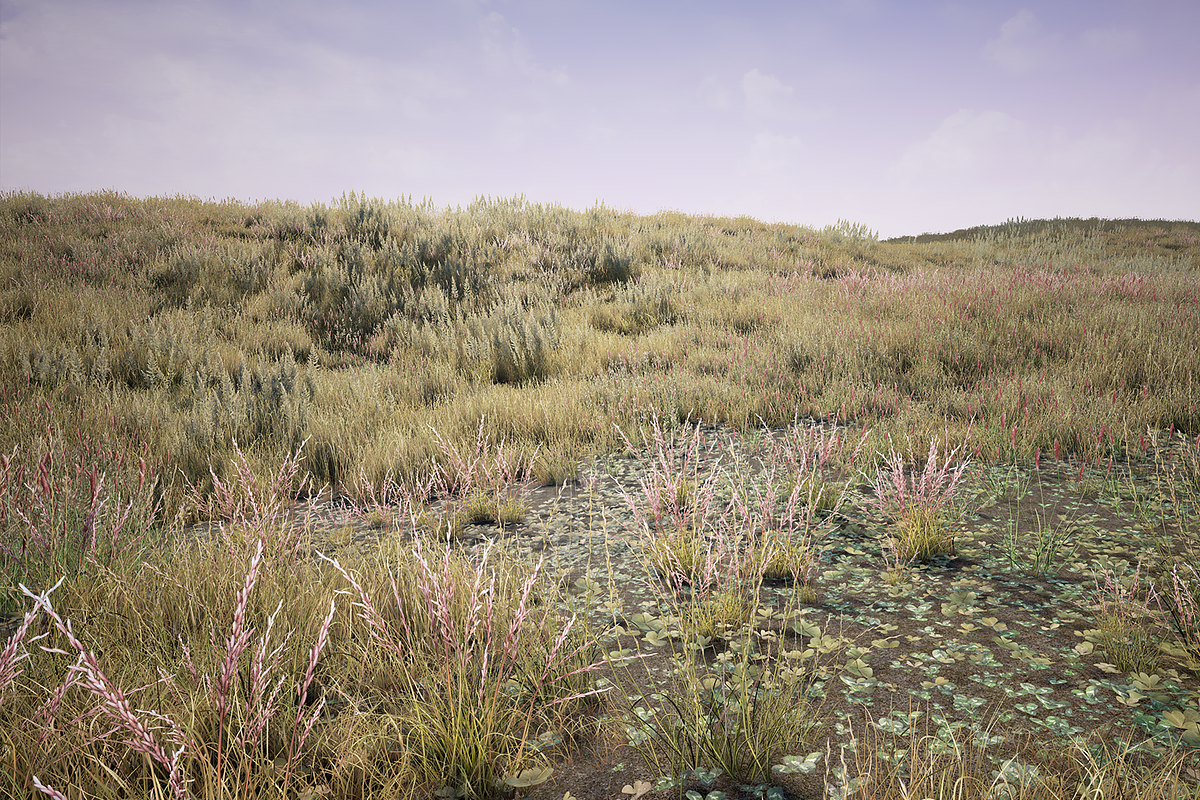 Grass Pack, an Environmental 3D Model by SilverTM (Photo 5 of 6)