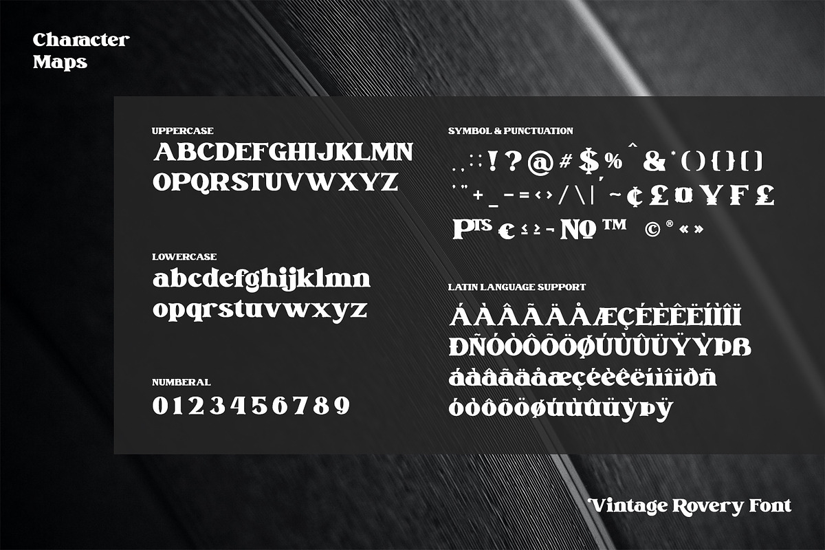 Vintage Rovery, a Serif Font by Vintage Division (Photo 9 of 10)