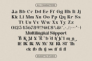 Assneya – Timeless Elegant Serif Typ, a Serif Font by Muwatta Studio (Thumbnail 7 of 8)