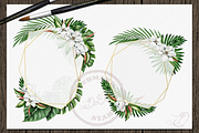 Tropical Big Pack Watercolor Clip, a Decorative Illustration by DioFlow (Thumbnail 22 of 26)