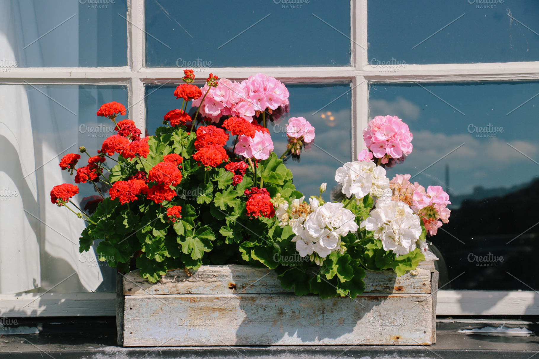 rustic beauty no.2, a Beauty & Fashion Photo by lulu and isabelle