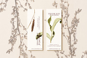 Botanical PNG Elements – 36 Meadow P, an Object Graphic by Aga Silva (Thumbnail 8 of 28)