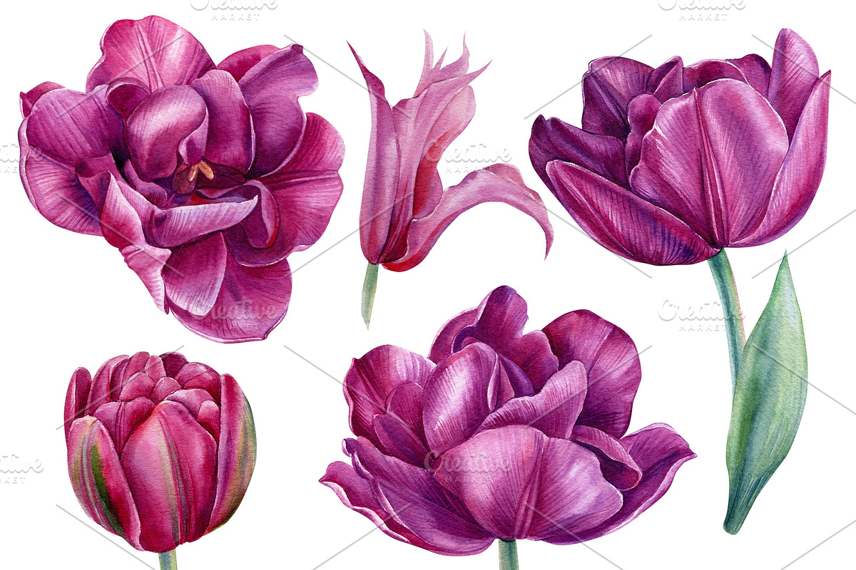Floral painting spring bouquet, an Illustration by Hanna Hryharenka (Photo 9 of 14)