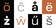 Ruberoid, a Sans Serif Font by Pepper Type (Thumbnail 8 of 15)
