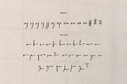 Artajliya | Handwritten Signature, a Script Font by Denustudios (Thumbnail 14 of 15)
