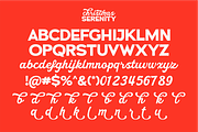 Christmas Serenity - Mix Font, a Script Font by Keithzo (Thumbnail 8 of 8)