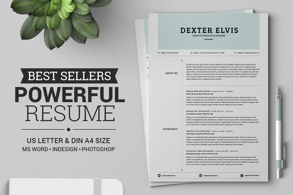 Best Sellers 2 Pages Powerful Resume, a Resume Template by SNIPESCIENTIST (Photo 1 of 7)