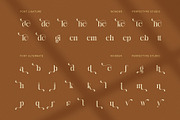 Wonder Elegant Serif Font, a Serif Font by Perfectype (Thumbnail 8 of 8)