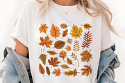 Autumn Leaves Clipart Bundle, a Seasonal Illustration by Whimsy Brush Studio (Thumbnail 4 of 9)
