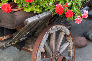 Wooden cart with flowers, an Architecture Photo by BOOCYS