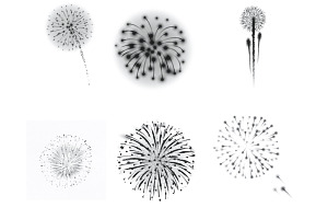 Firework Set 5 Procreate Brush Stamp